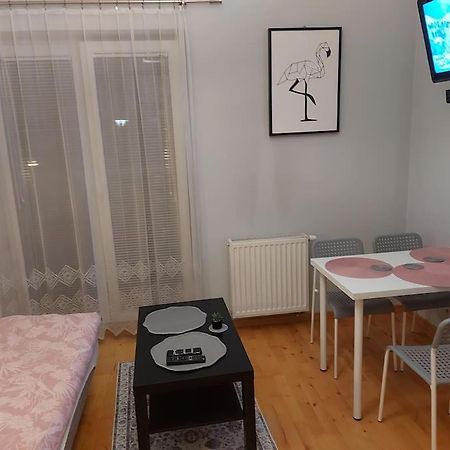 كراكوفيا Homelyapartment المظهر الخارجي الصورة