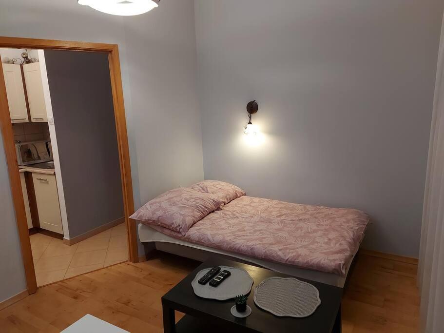 كراكوفيا Homelyapartment المظهر الخارجي الصورة