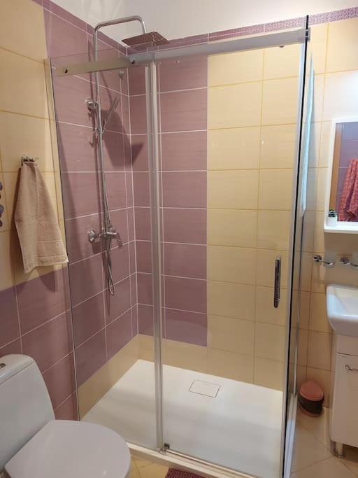 كراكوفيا Homelyapartment المظهر الخارجي الصورة