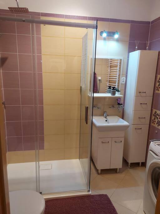 كراكوفيا Homelyapartment المظهر الخارجي الصورة