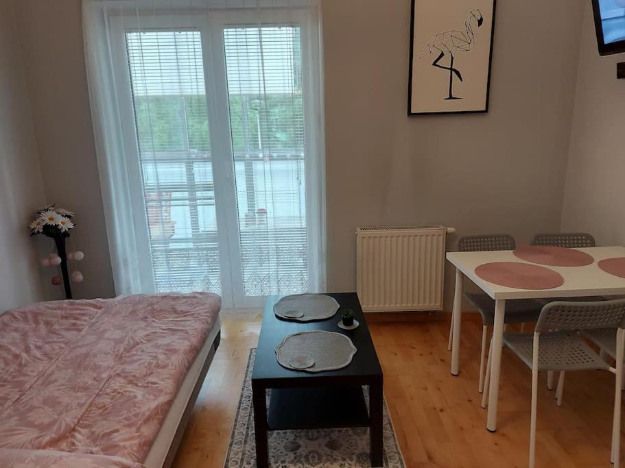 كراكوفيا Homelyapartment المظهر الخارجي الصورة