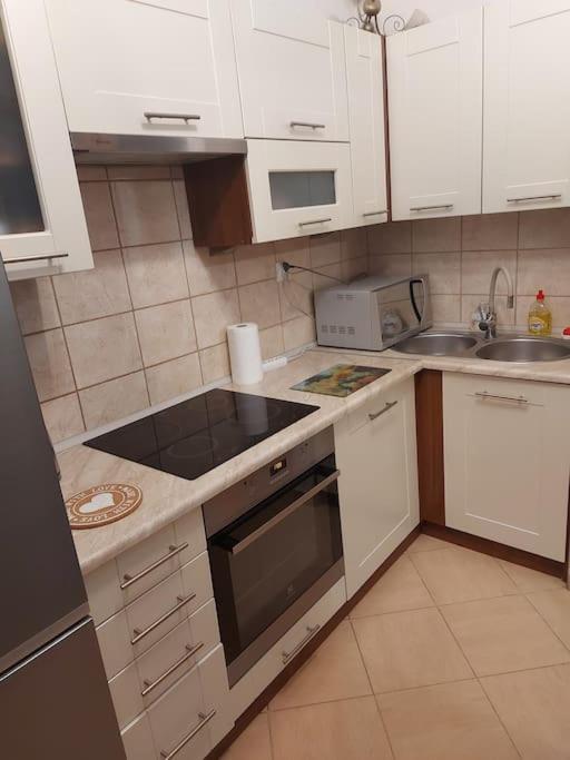 كراكوفيا Homelyapartment المظهر الخارجي الصورة